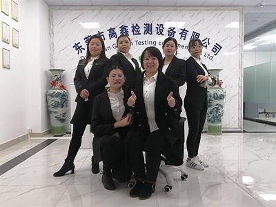 高鑫公司銷(xiāo)售服務(wù)團隊